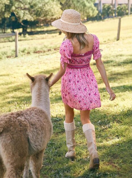 Pink Dress (2) Pink Dress (2)