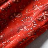 Red Skirt (2)