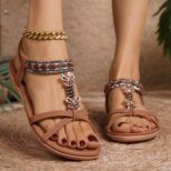 Brown Sandal (2)