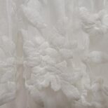 Details (2)