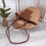 Brown Bag 02